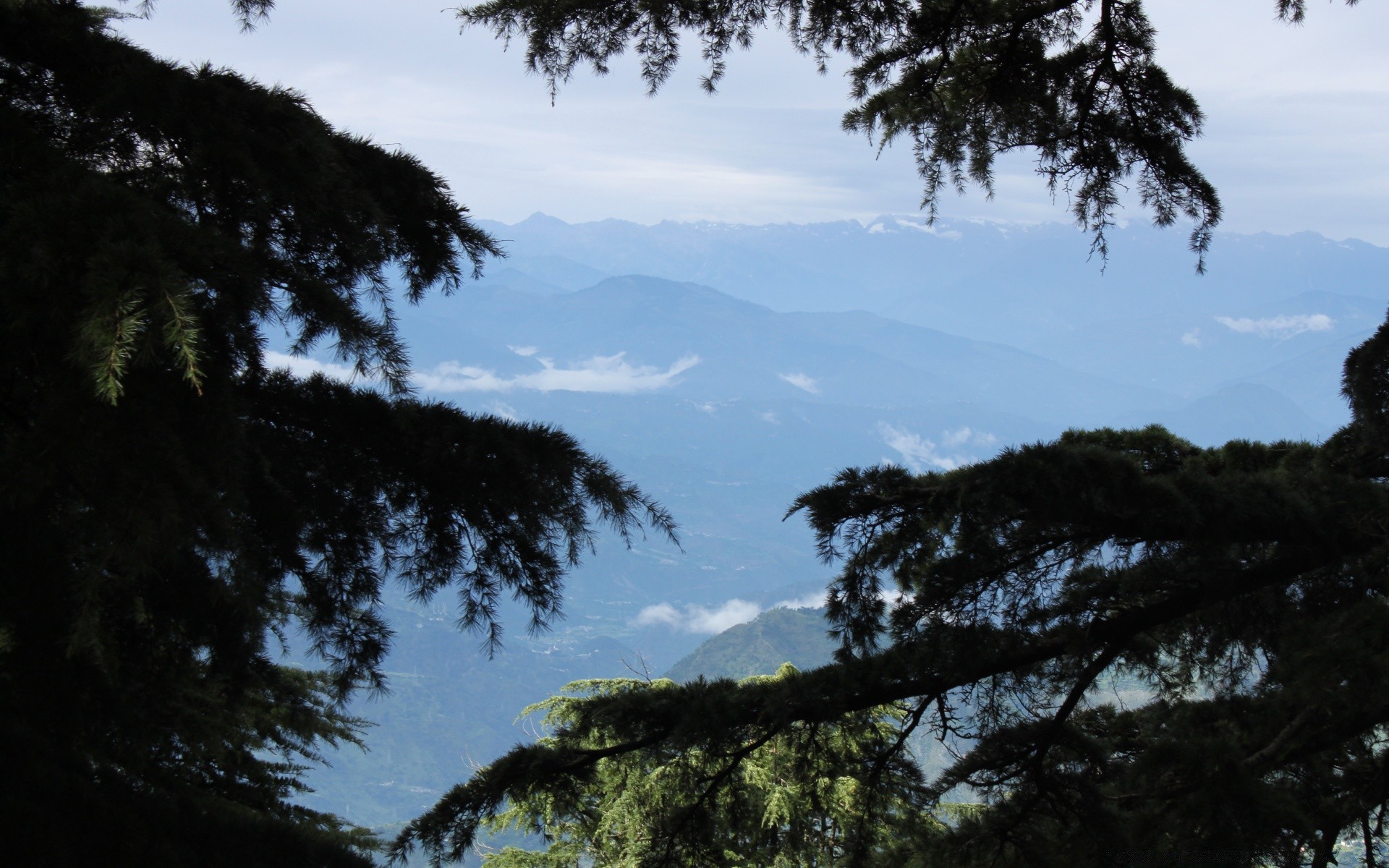 montagnes arbre paysage nature à l extérieur conifères ciel environnement bois lumière du jour evergreen voyage lumière aube rétro-éclairé parc montagnes brouillard soleil scénique