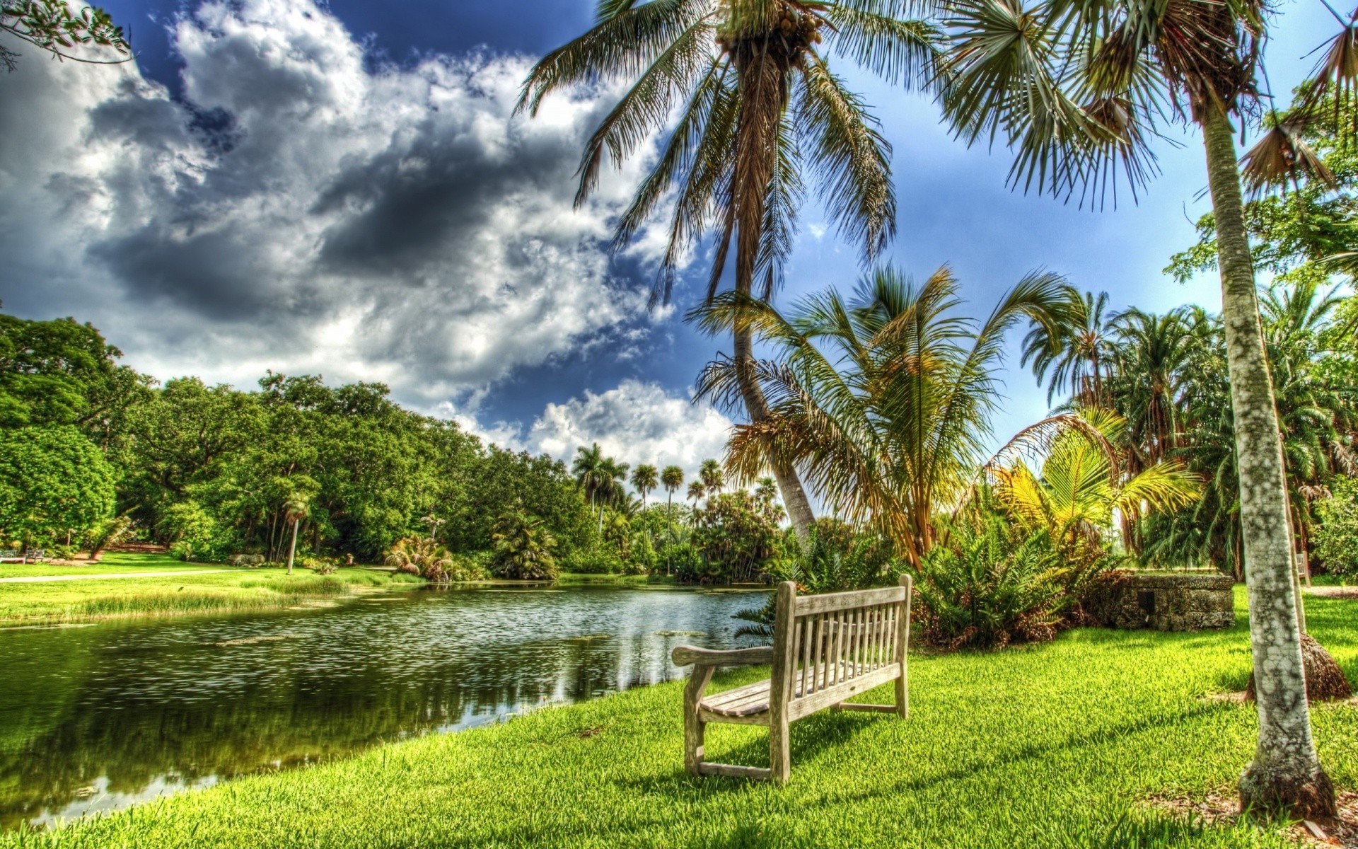 rivières étangs et ruisseaux étangs et ruisseaux arbre palmiers tropical été nature herbe eau jardin voyage ciel à l extérieur paysage flore idyllique beau parc pelouse