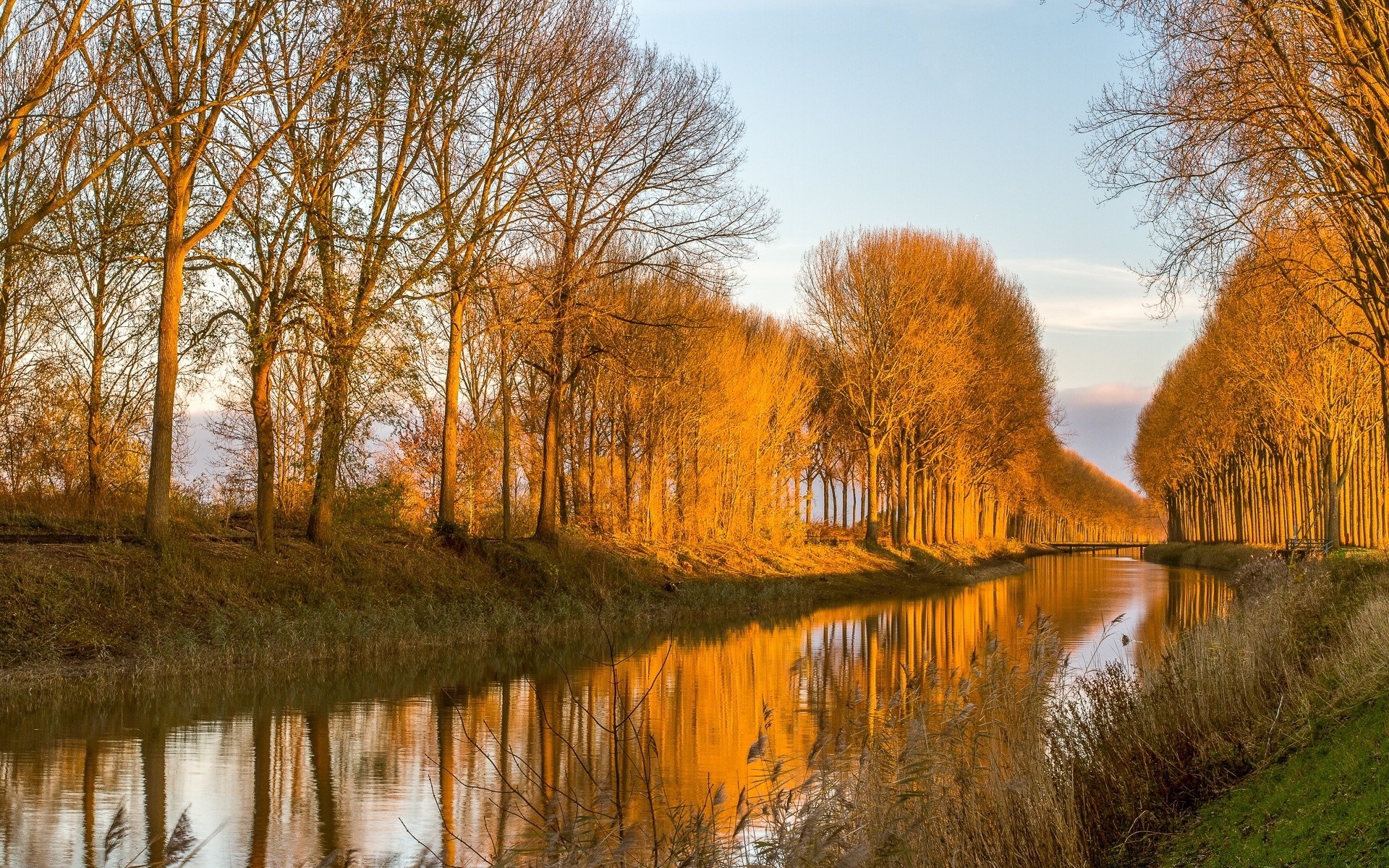 rivers ponds and streams fall tree wood landscape nature reflection season water lake dawn river leaf outdoors park scenic fair weather winter rural countryside