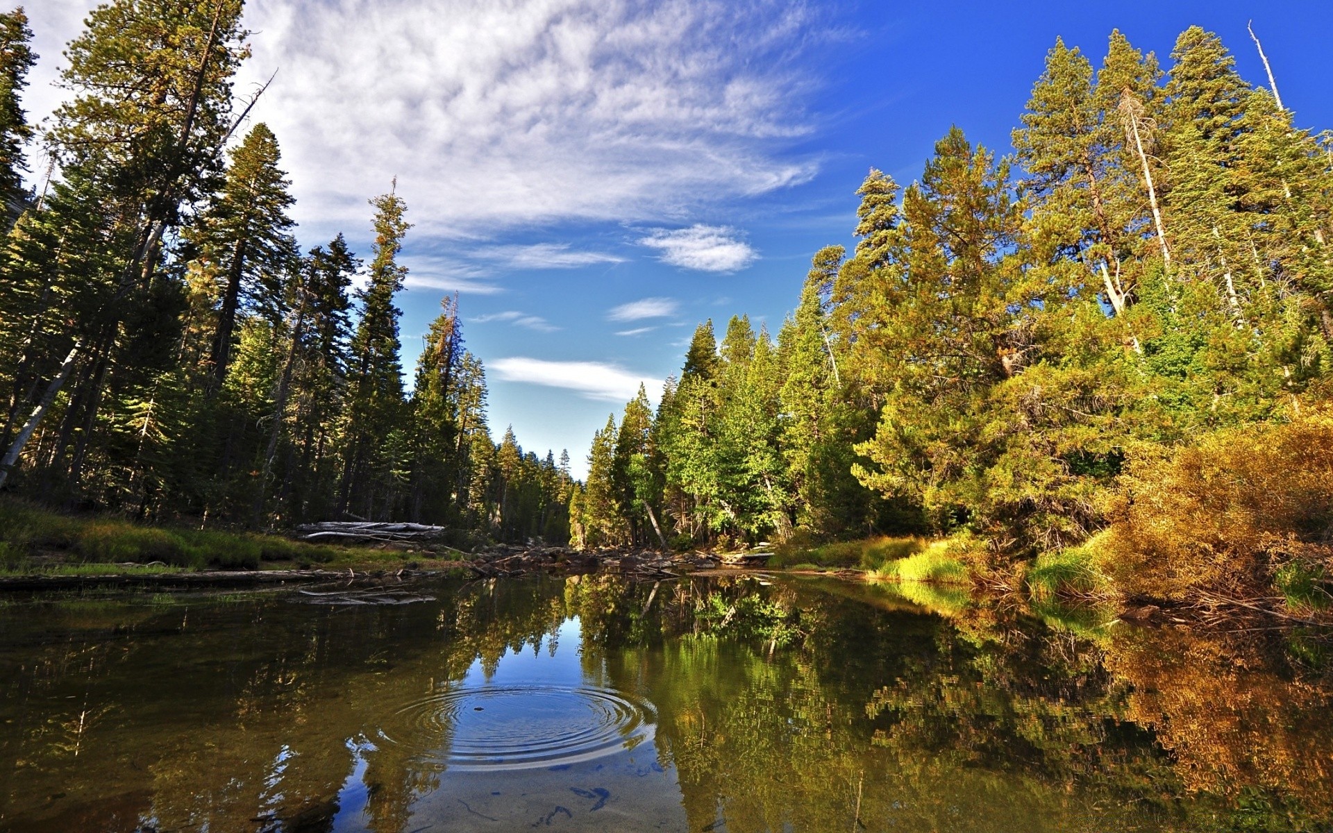 rzeki stawy i strumienie stawy i strumienie natura woda drewno drzewo na zewnątrz jezioro krajobraz malownicze rzeka jesień podróże światło dzienne niebo góry odbicie park iglaste dziki dobra pogoda