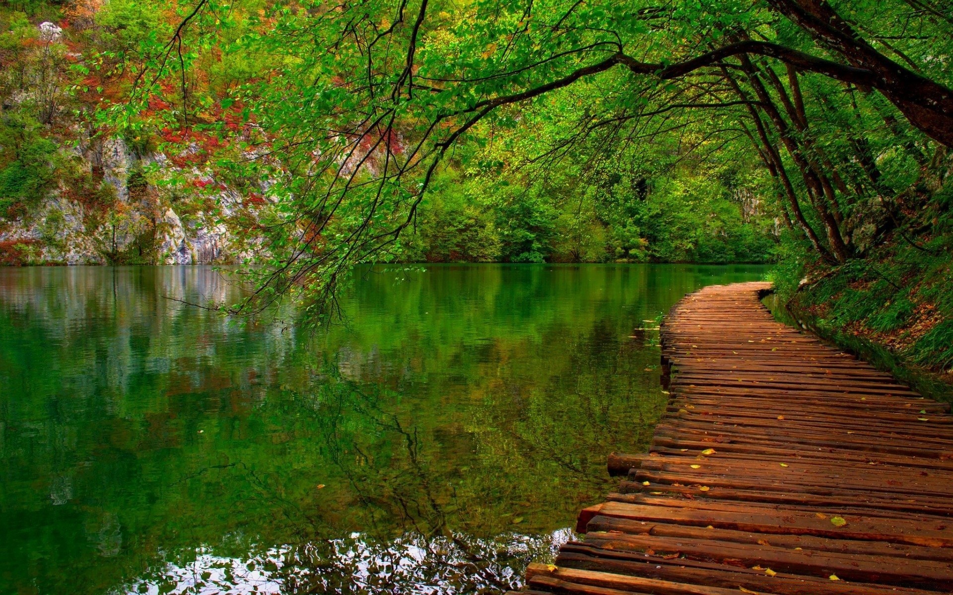 flüsse teiche und bäche teiche und bäche holz holz blatt natur landschaft park wasser herbst im freien fluss landschaftlich saison guide umwelt sommer garten licht gutes wetter see