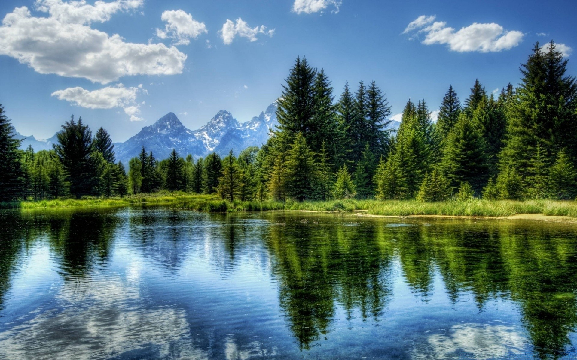 rivières étangs et ruisseaux étangs et ruisseaux lac eau nature réflexion à l extérieur bois paysage sang-froid bois scénique ciel pleside été