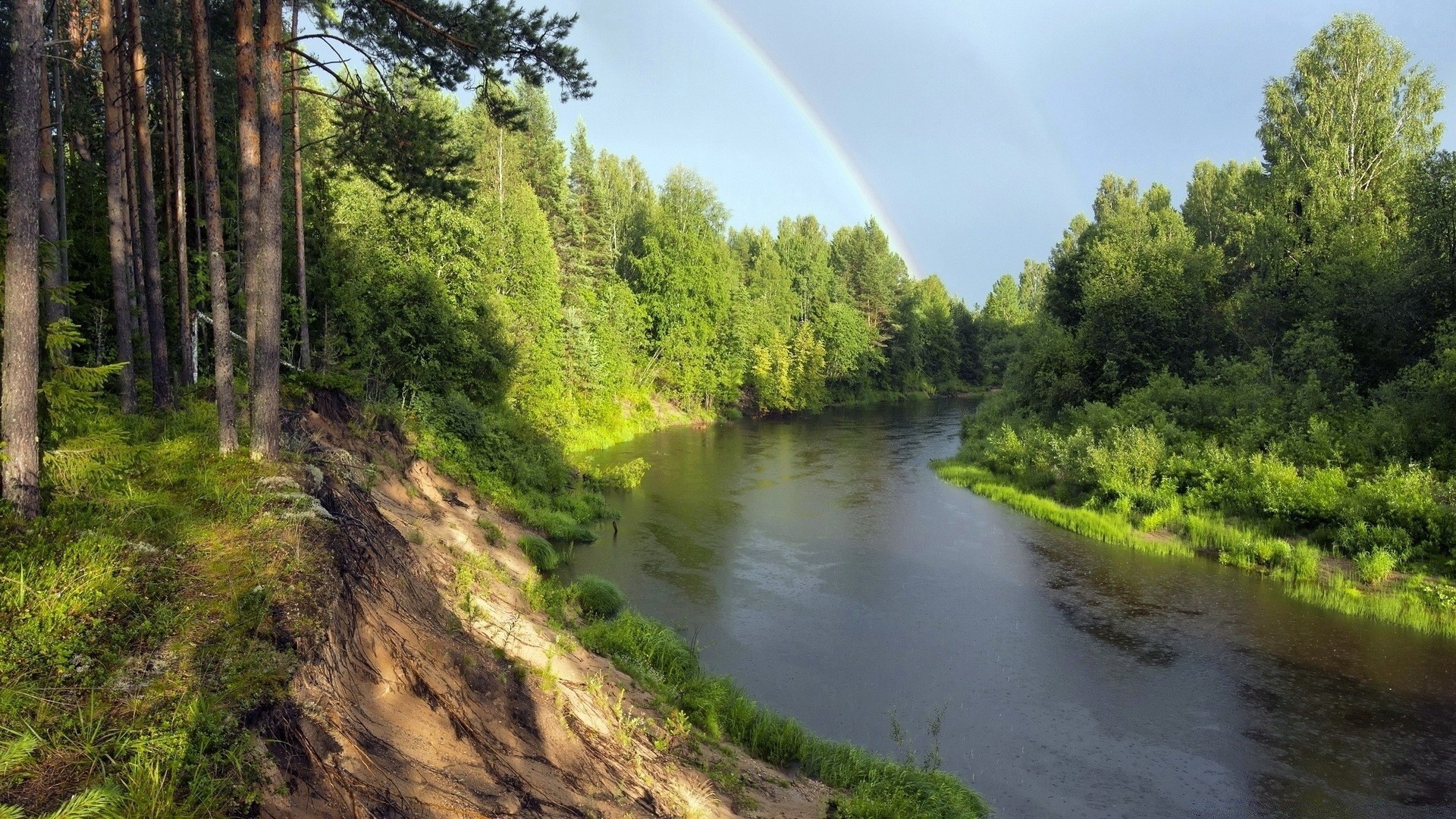 rivers ponds and streams landscape water nature wood tree river outdoors scenic travel summer environment sky lake park reflection grass daylight