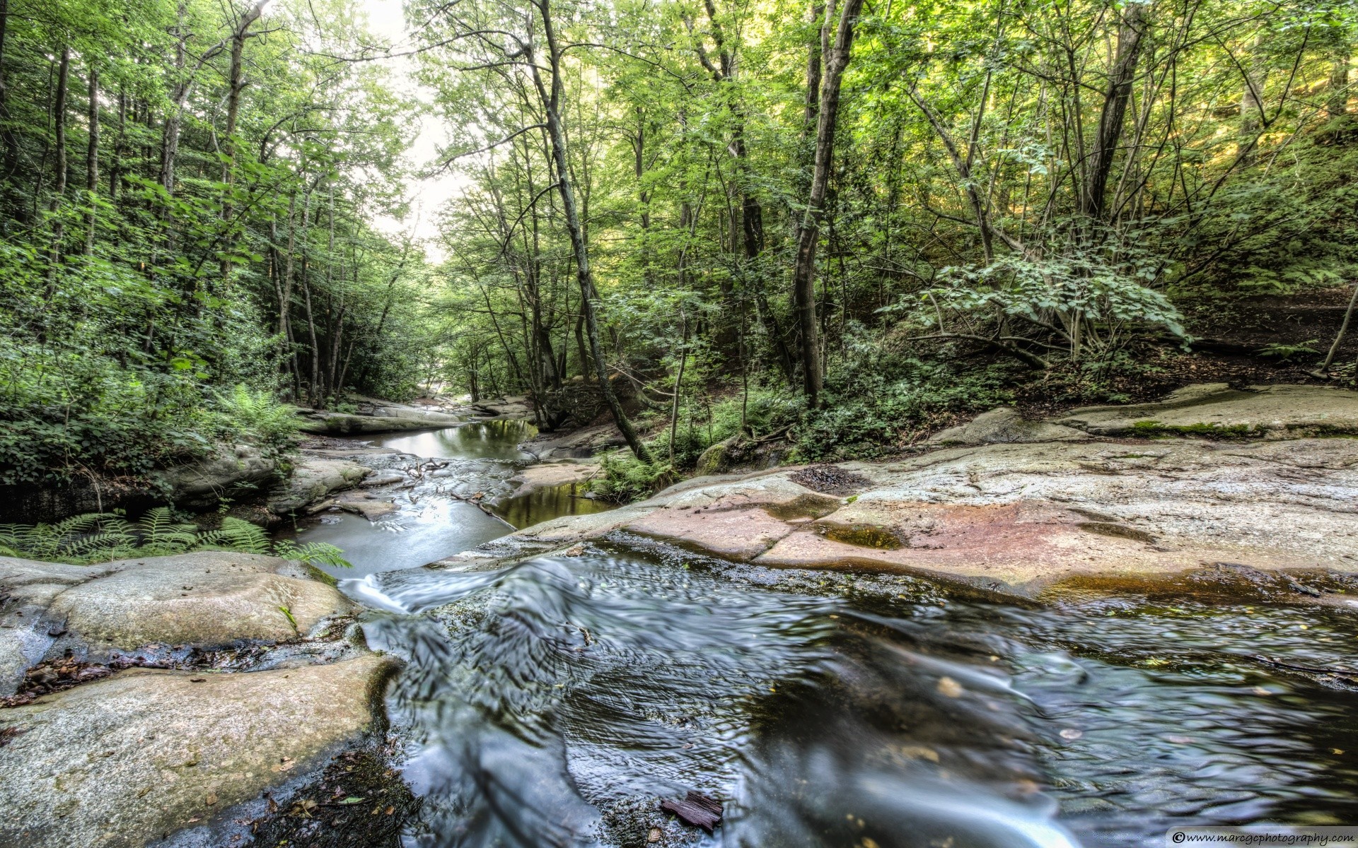 rivers ponds and streams water nature river stream wood landscape creek wild flow tree leaf environment waterfall travel moss outdoors park fall beautiful stone