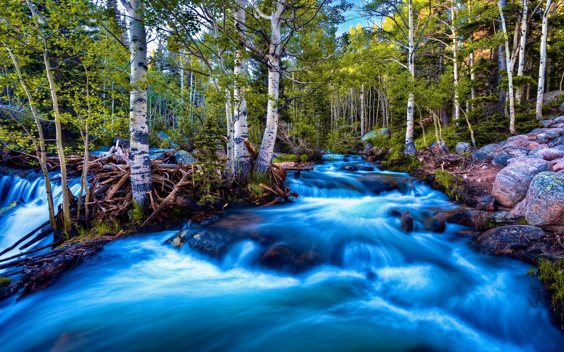 rivers ponds and streams water wood nature stream river landscape waterfall creek leaf outdoors tree rock travel wild cascade purity wet environment scenic