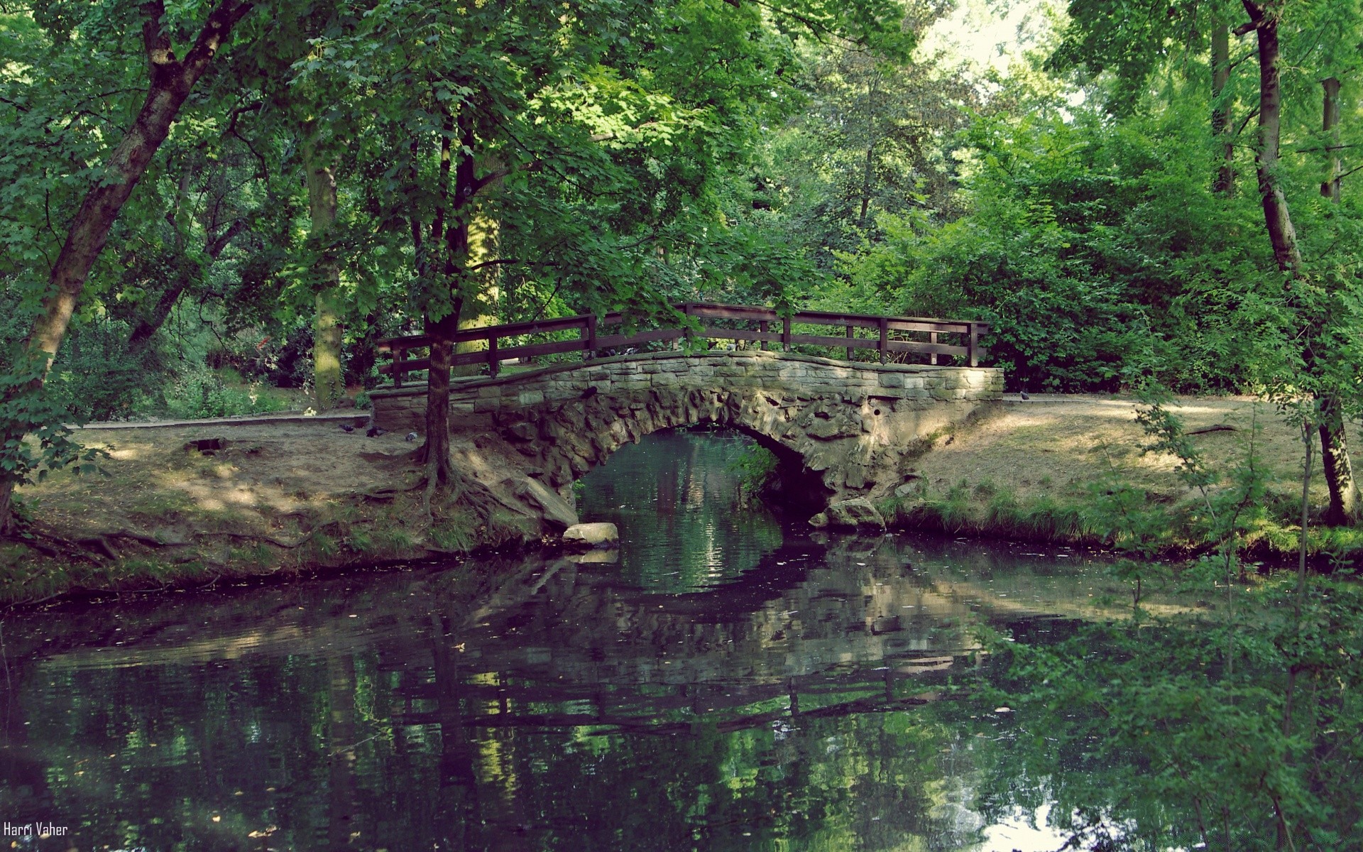 rivers ponds and streams water nature river wood bridge landscape tree leaf travel pool reflection park summer stream environment outdoors lake flora stone