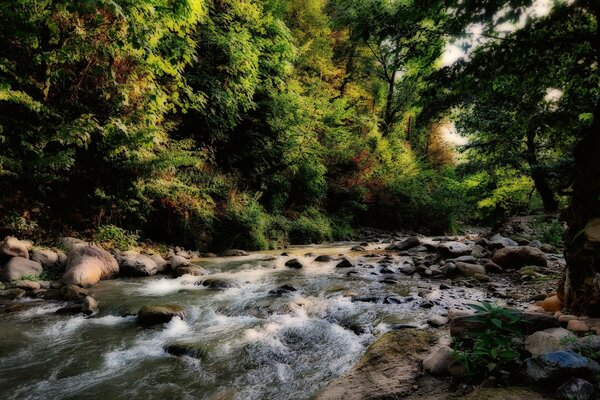 O rio da montanha corre sobre as pedras