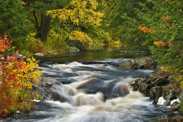 L eau sombre du ruisseau coule vers le bas