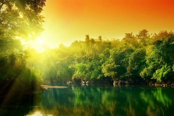 Bujne zielone lasy rzeka o świcie