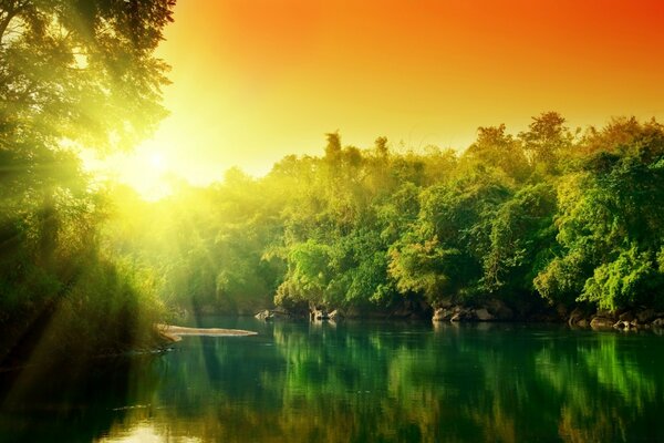 Florestas verdes exuberantes rio ao amanhecer