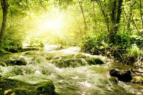 Wasserfälle und Stromschnellen des Baches in der Sonne