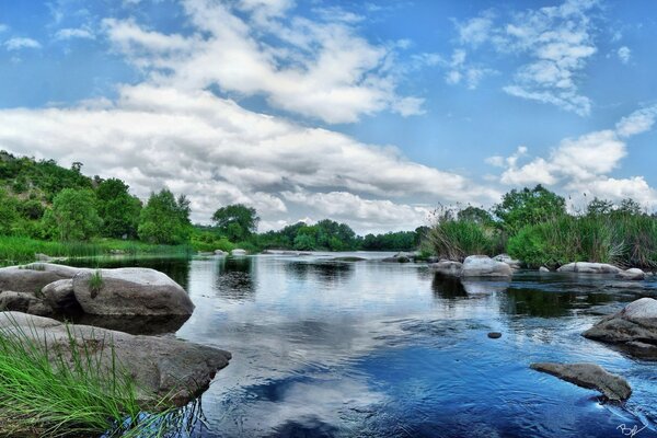 El río sale al camino de las hojas