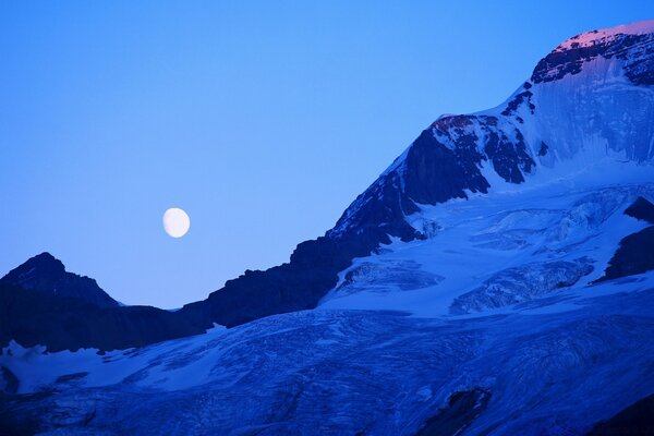 Heißer süßer Tee und Berge