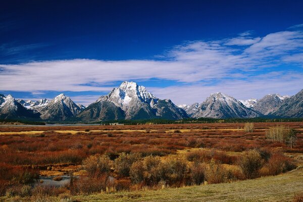 They stand like Russian heroes-mountains