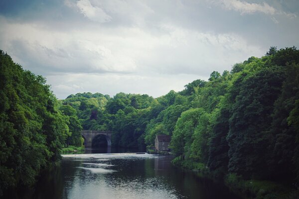 The river is surrounded by a green forest