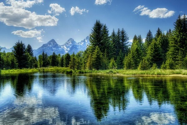 Reflejo del bosque y las montañas en la superficie del lago