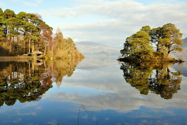 Nature in the reflection of a forest river