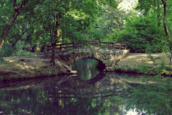 An ancient bridge over a river in a green forest