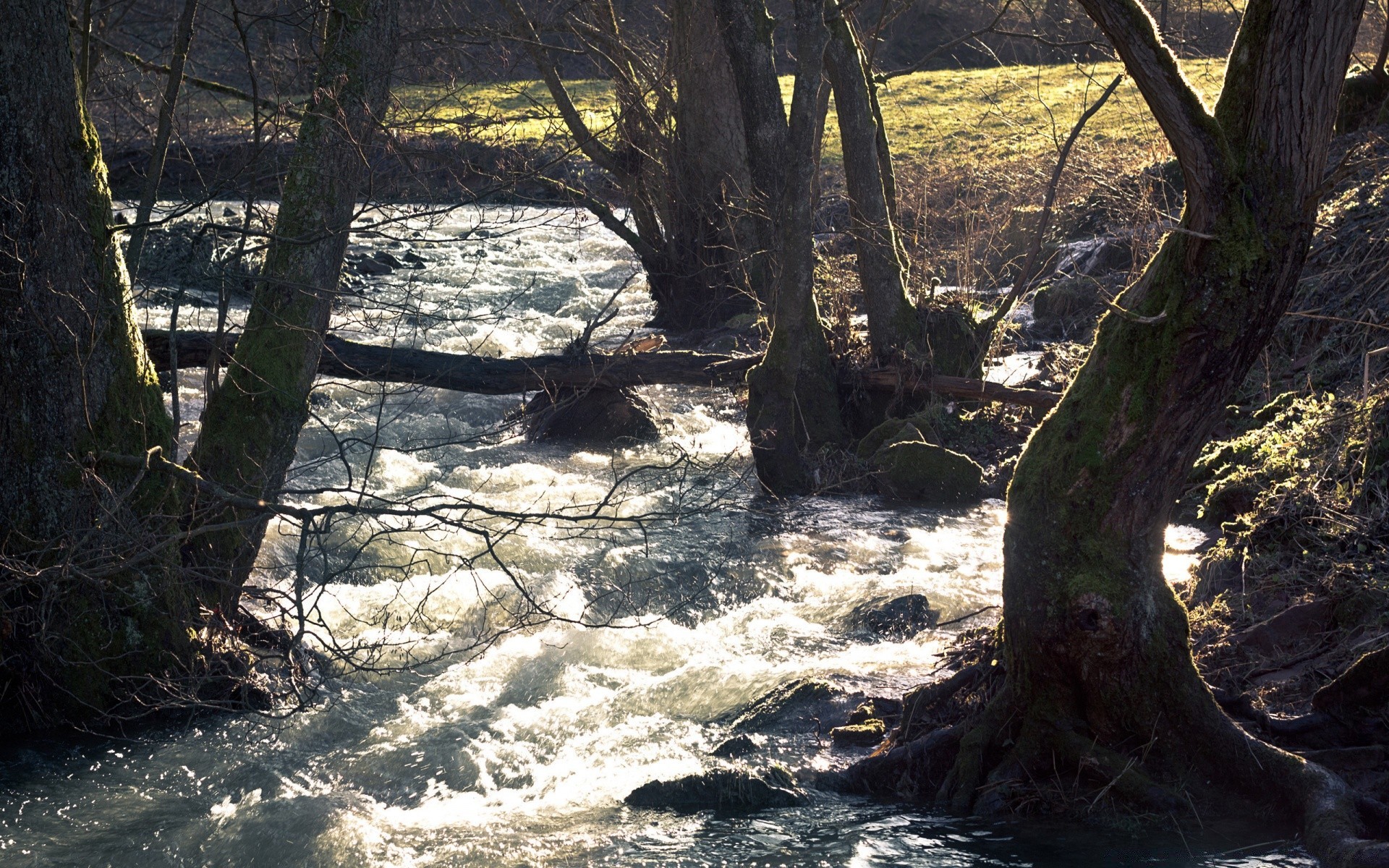 rivières étangs et ruisseaux étangs et ruisseaux eau bois bois nature paysage à l extérieur automne rivière voyage environnement feuille parc ruisseau scénique