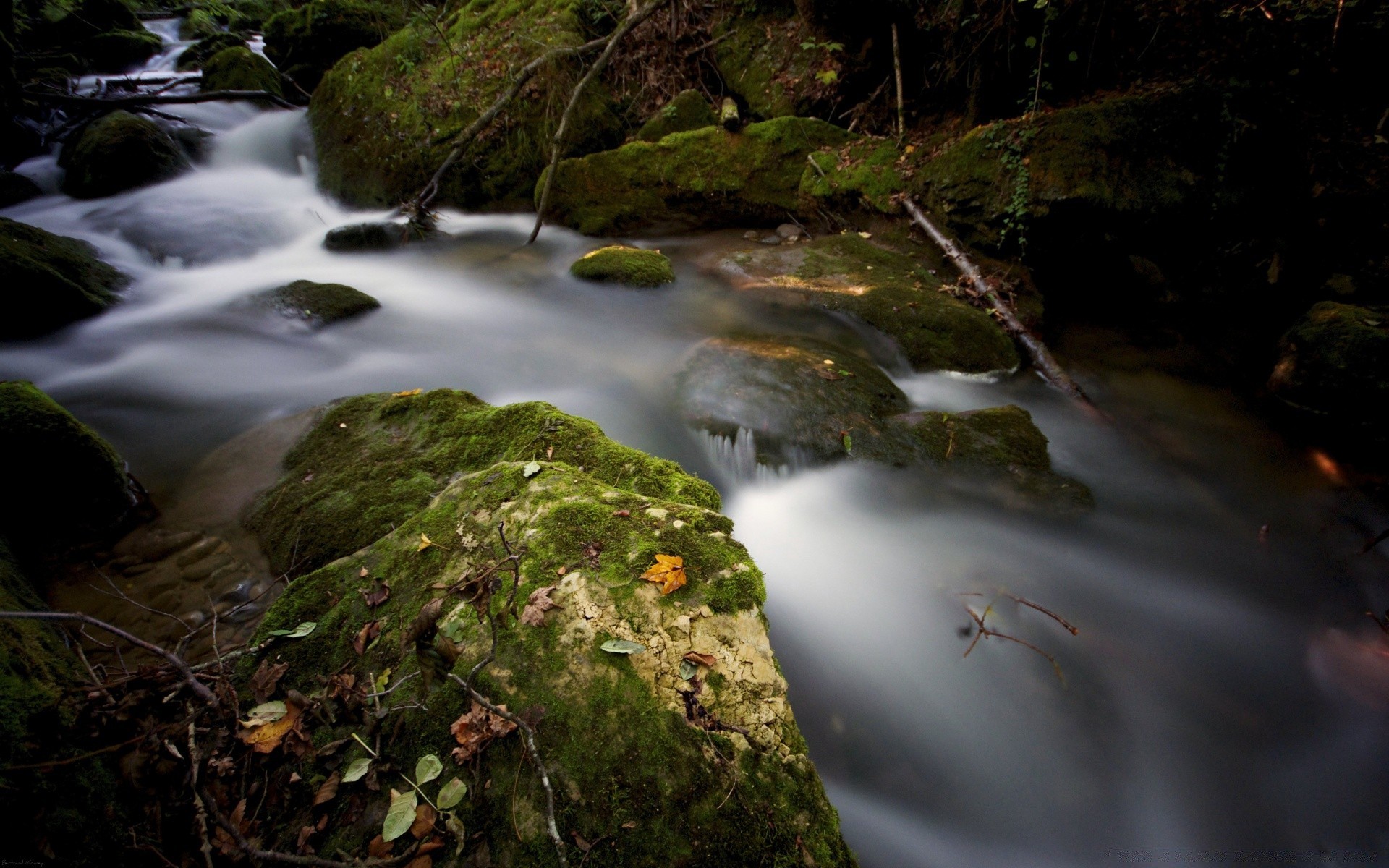 rzeki stawy i strumienie stawy i strumienie wodospad woda rzeka strumień mech fotografia jesień creek rock krajobraz kaskada drewno ruch drzewo natura park strumień liść na zewnątrz