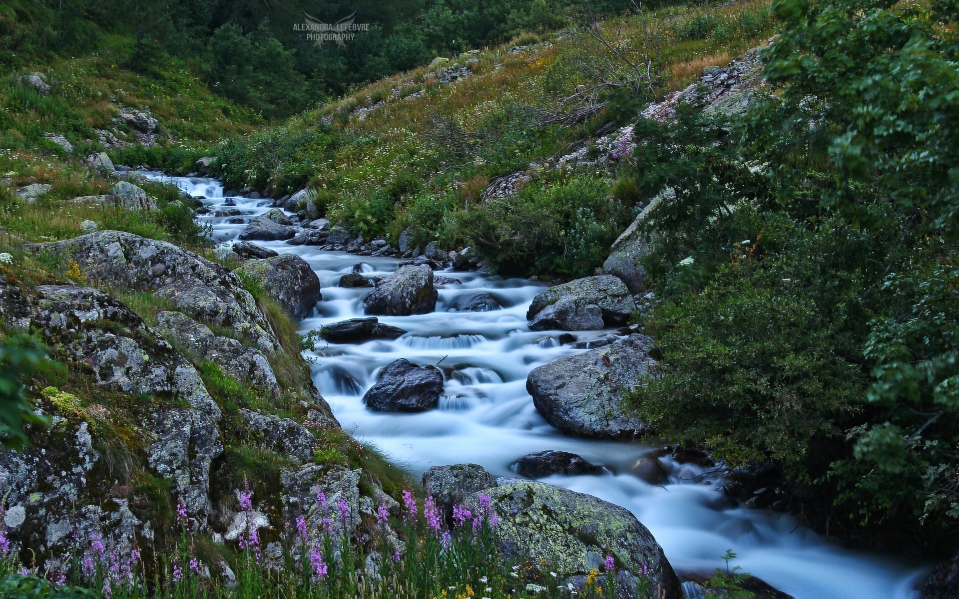 реки пруды и ручьи прудов и ручьев поток воды река водопад рок природа пейзаж поток каскад путешествия на открытом воздухе мох древесины горы дикий живописный крик движения - рапидс