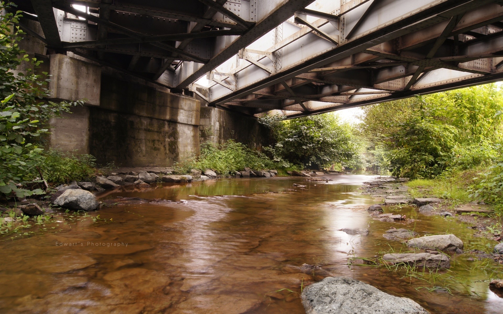 rivers ponds and streams water river nature wood bridge stream travel outdoors stone environment flow leaf landscape summer rock