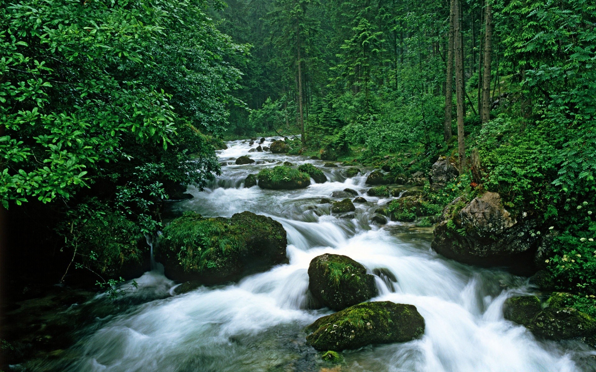 rivers ponds and streams waterfall water stream river wood cascade nature rock creek outdoors flow leaf travel purity rapids landscape moss motion wild