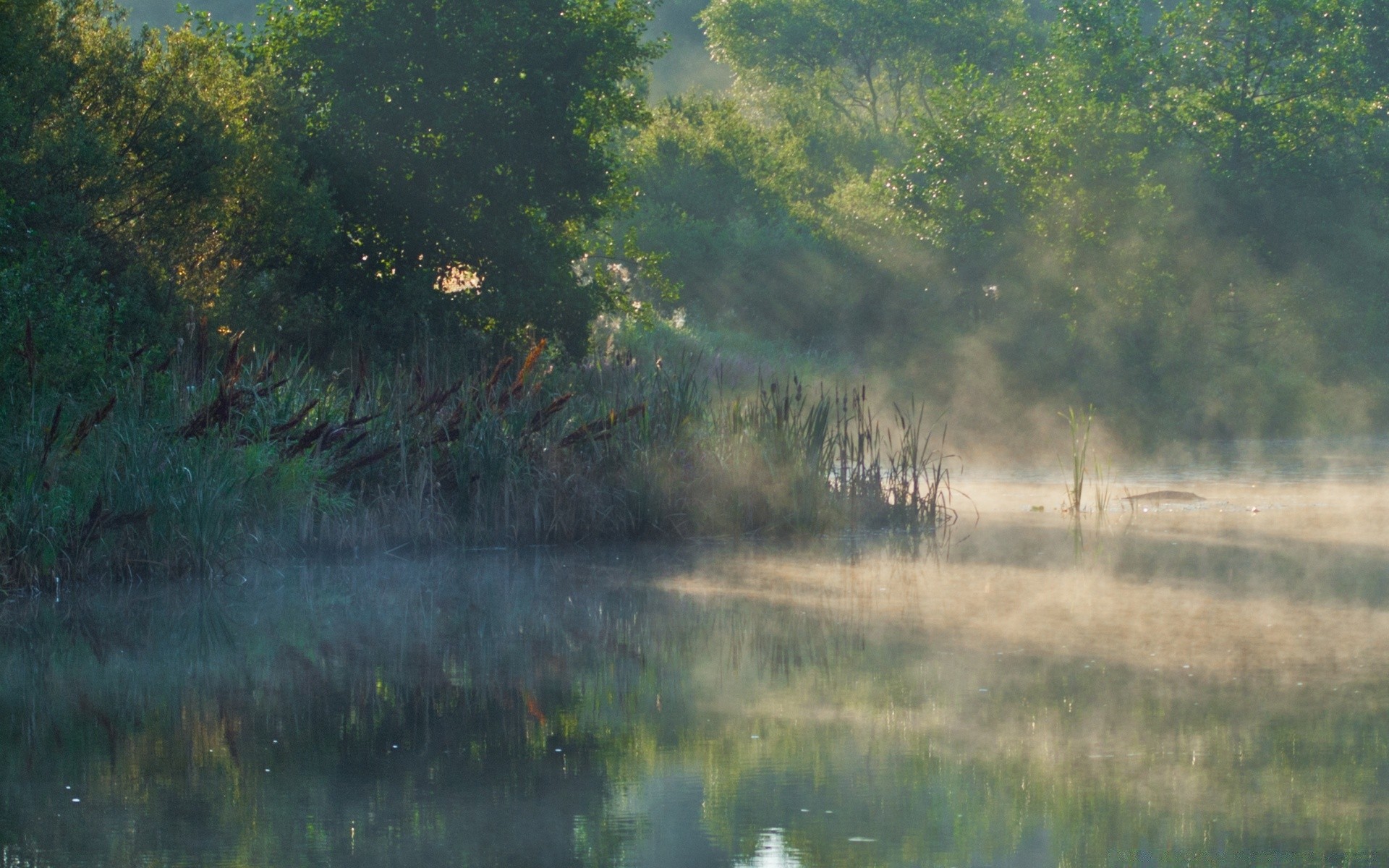 fiumi stagni e torrenti stagni e torrenti paesaggio acqua legno riflessione lago nebbia fiume alba all aperto nebbia ambiente tempo natura palude luce del giorno legno scenico