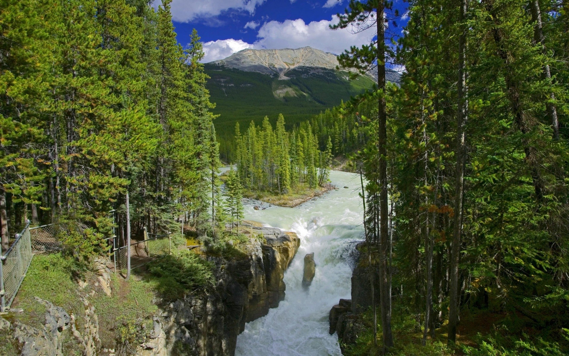 fiumi stagni e torrenti stagni e torrenti legno all aperto natura albero paesaggio acqua montagna scenic viaggi luce del giorno fiume conifere estate autunno parco