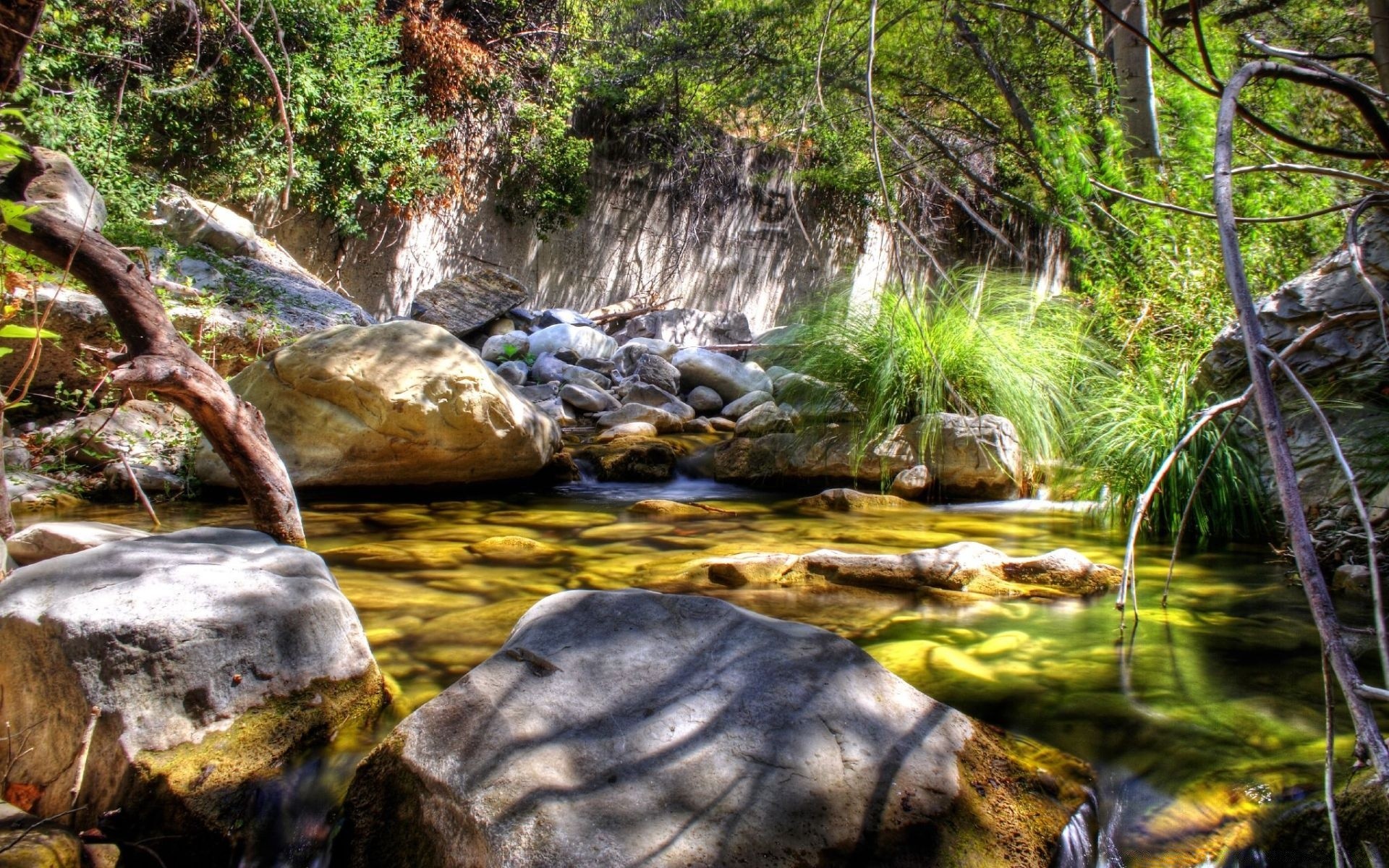 rivers ponds and streams water nature river stream waterfall creek wood cascade rock flow moss leaf landscape fall stone wild park tree wet environment