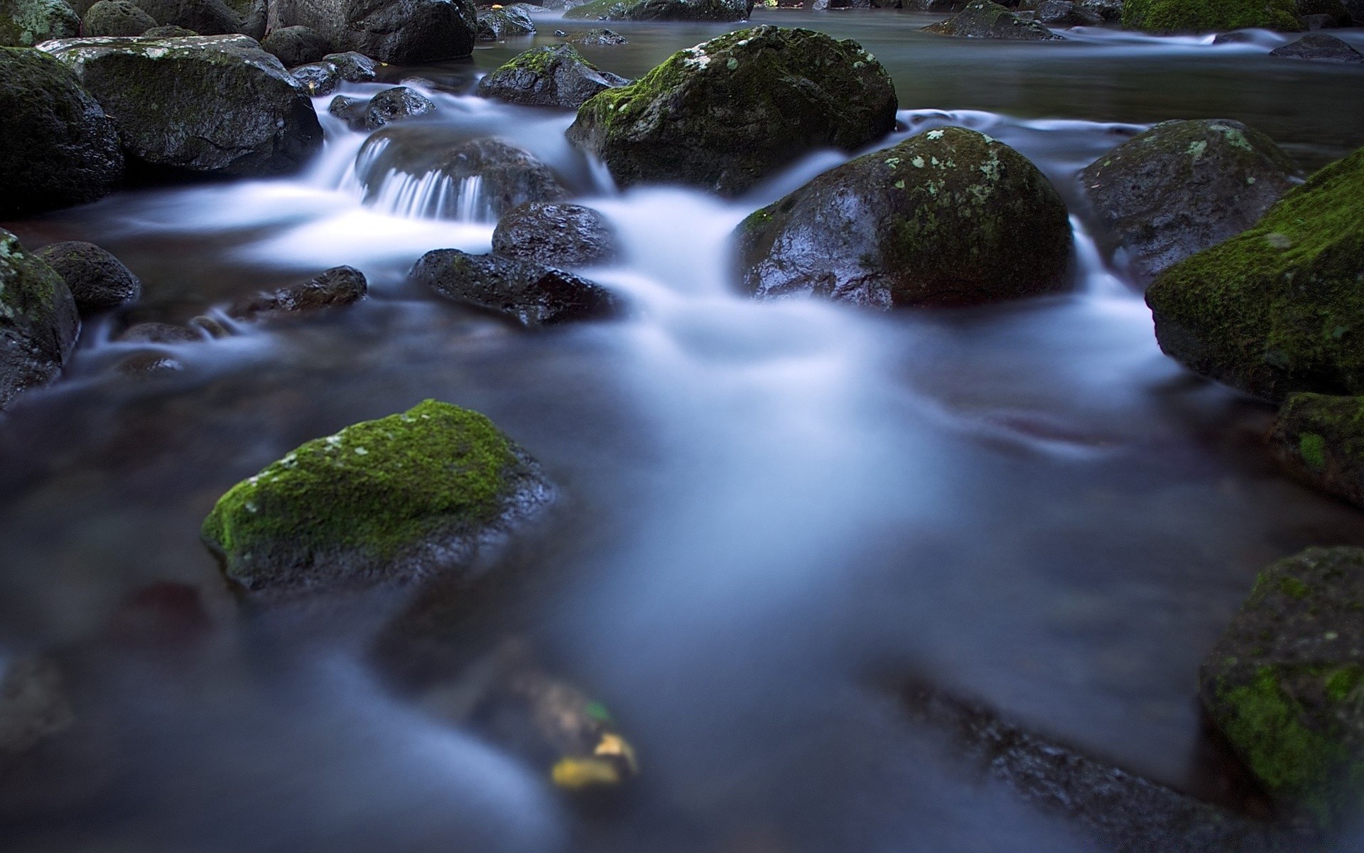 rivières étangs et ruisseaux étangs et ruisseaux eau ruisseau cascade rivière mousse flou ruisseau ruisseau cascade photographie rock nature humide à l extérieur automne - rapids feuille mouvement bois