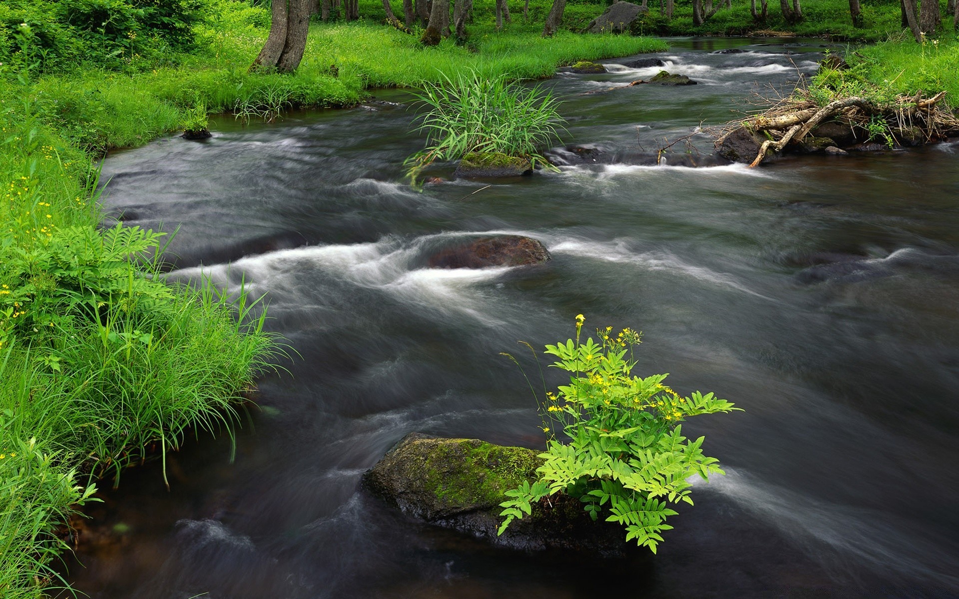 rivers ponds and streams water river stream nature waterfall wood moss rock creek flow leaf outdoors wet wild fall stone purity summer cascade