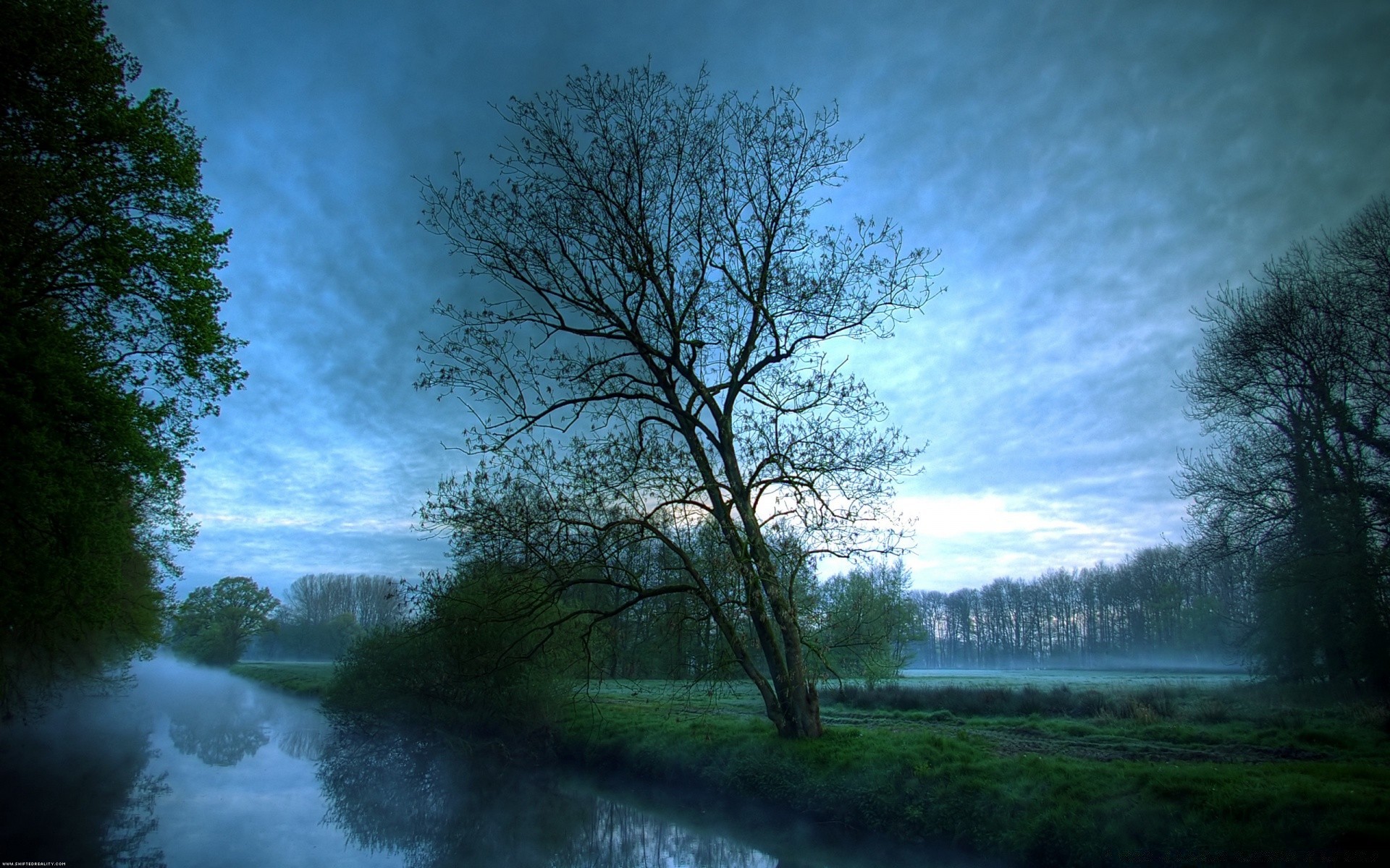 rivers ponds and streams tree landscape nature wood dawn fog weather lake mist outdoors scenic park fair weather