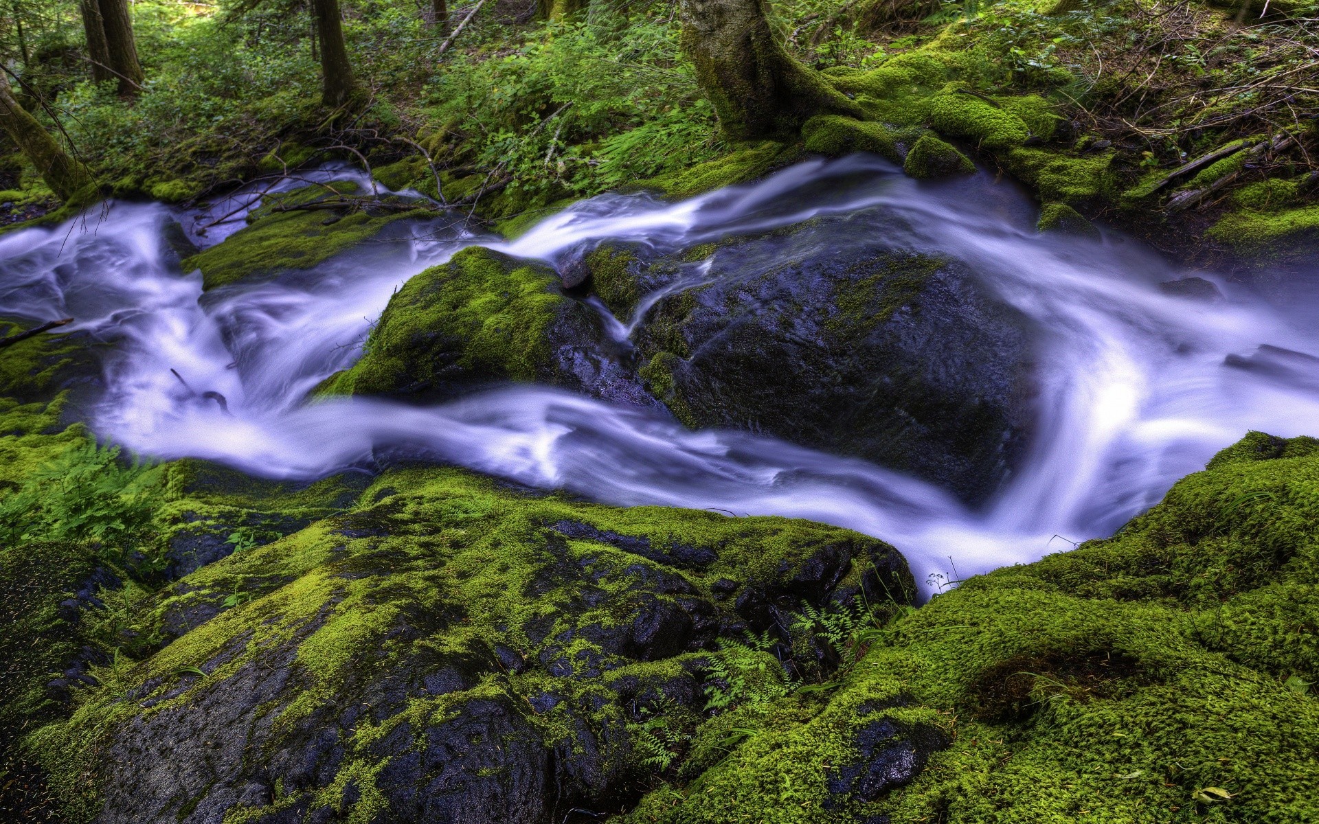 rios lagoas e córregos lagoas e córregos musgo cachoeira água rio natureza madeira córrego rocha paisagem cascata grito árvore ao ar livre selvagem folha córrego ambiente montanha molhado