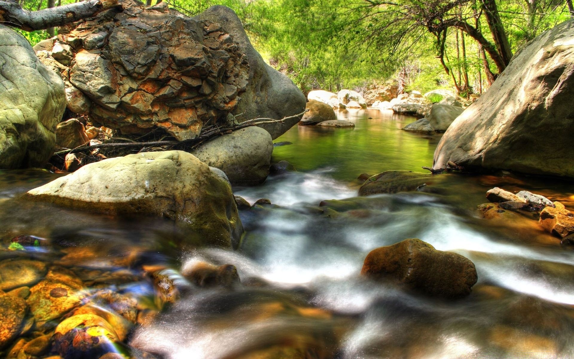 flüsse teiche und bäche teiche und bäche wasser fluss fluss natur wasserfall schrei kaskade rock im freien fluss bewegung blatt holz reisen herbst medium nass wild spritzen