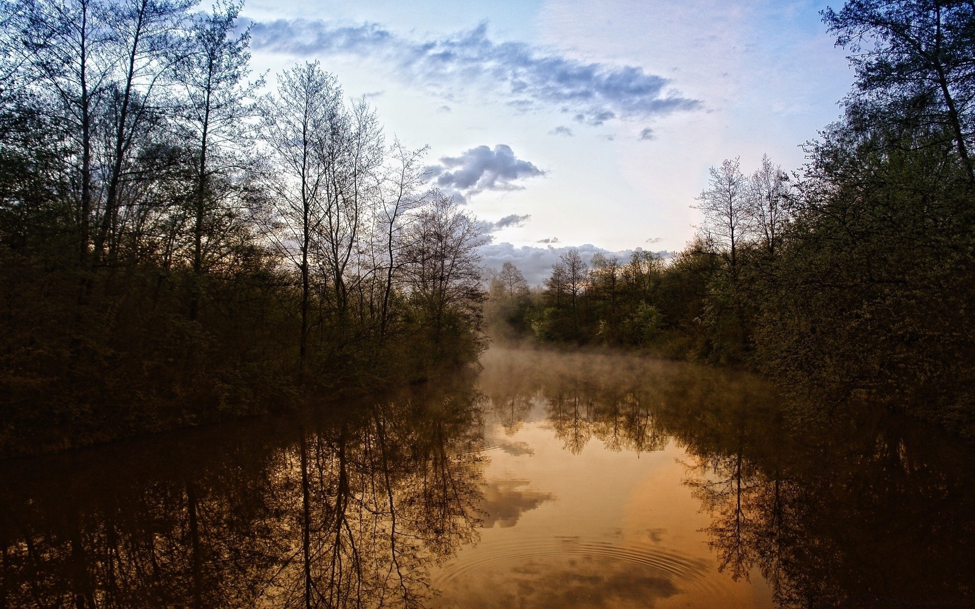 rivières étangs et ruisseaux étangs et ruisseaux paysage arbre nature brouillard bois aube automne brouillard lac à l extérieur parc réflexion lumière ciel environnement eau météo