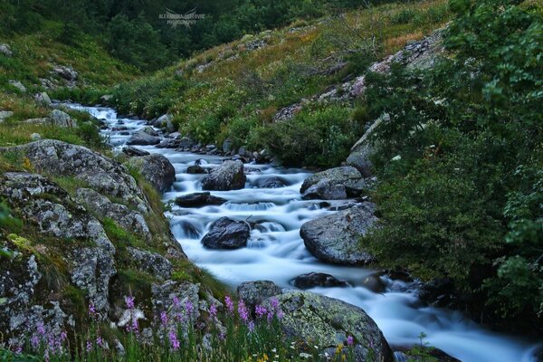 A mountain stream in a hilly area