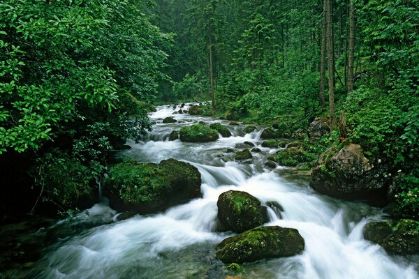 Streams run in the mountains