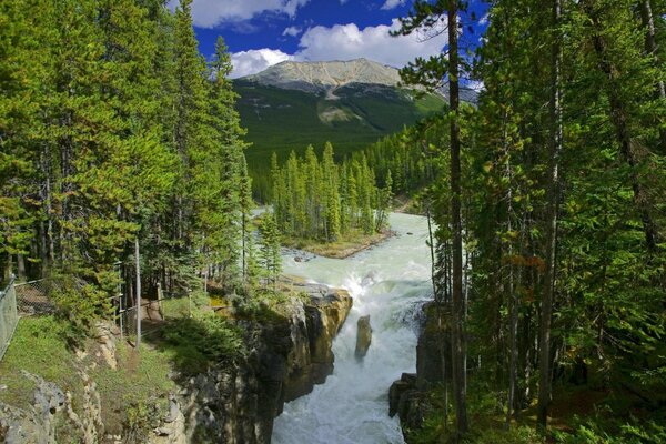 Bella natura in montagna