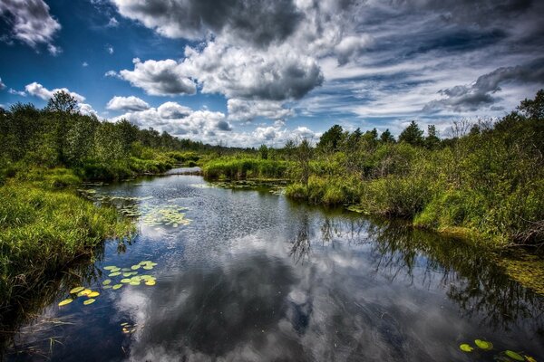 A beautiful combination of water forest and sky