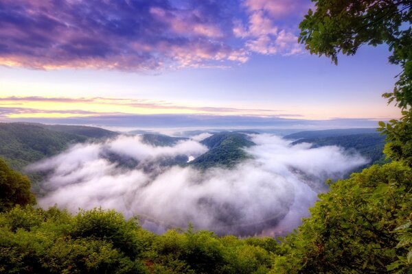 Purple clouds and fog