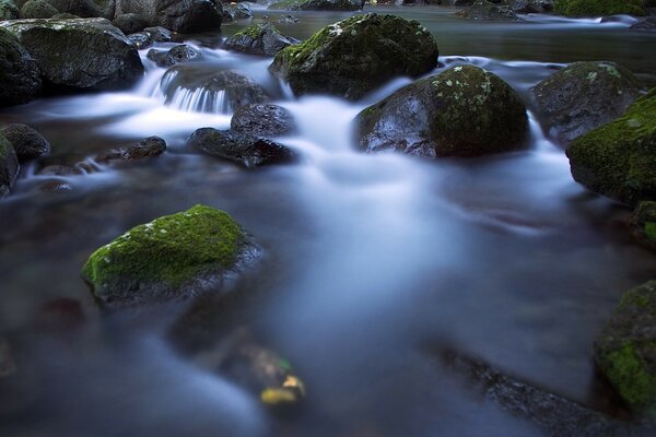 White river falls on green stones