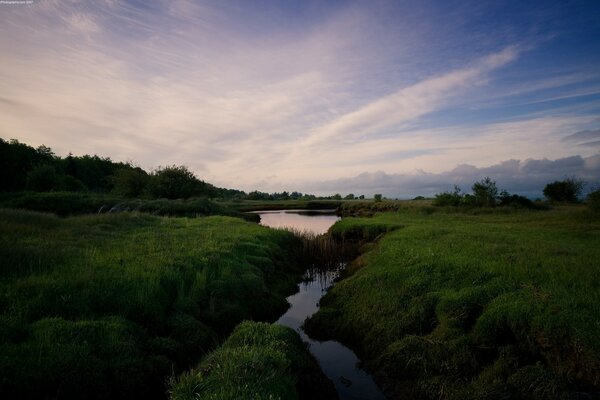 A narrow stream among green fields at dawn