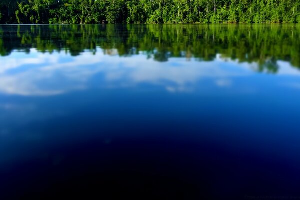 Paz y tranquilidad, sólo gracia