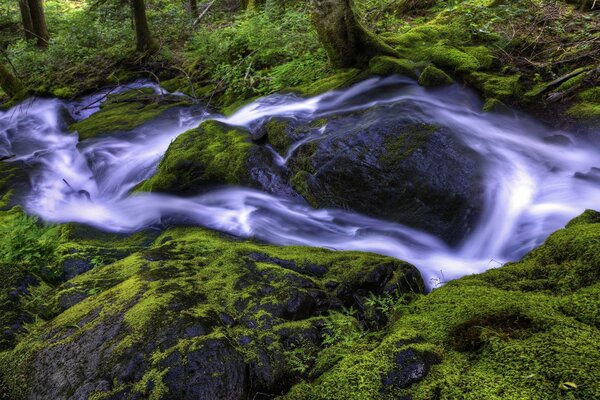 Cascada del bosque entre piedras y musgo