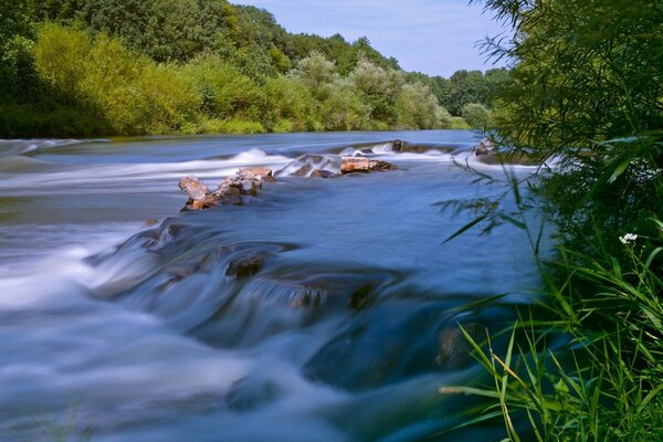 Río de montaña en el bosque