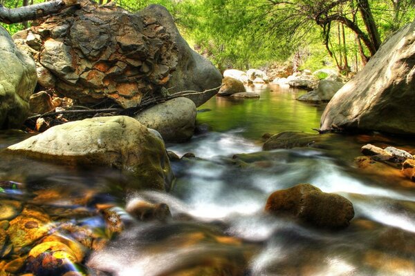 A small river runs among rocks and trees