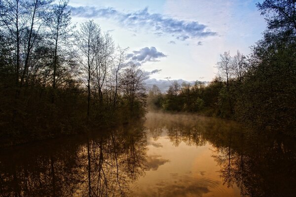 Wieczorna mgła nad leśną rzeką