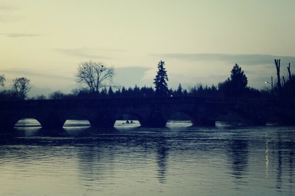 Flooded terrain and dark trees