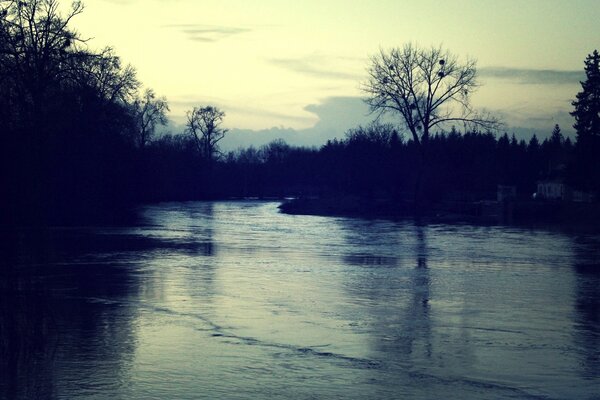 Rivière sombre au milieu de la forêt sombre